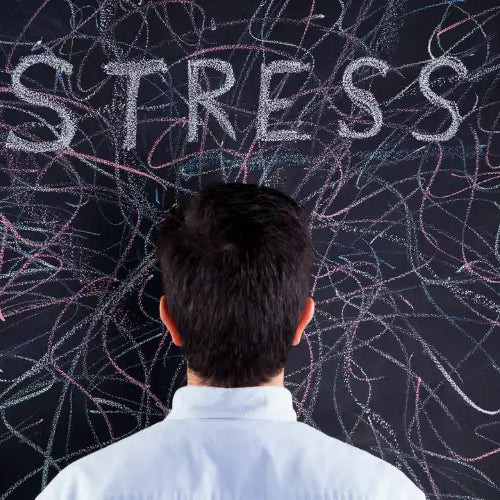 How To Reduce Stress: 24 of the Most Effective Strategies and Techniques
