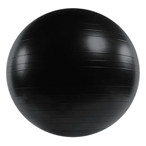 Randy & Travis Machinery 75cm Exercise Balance Ball with Pump