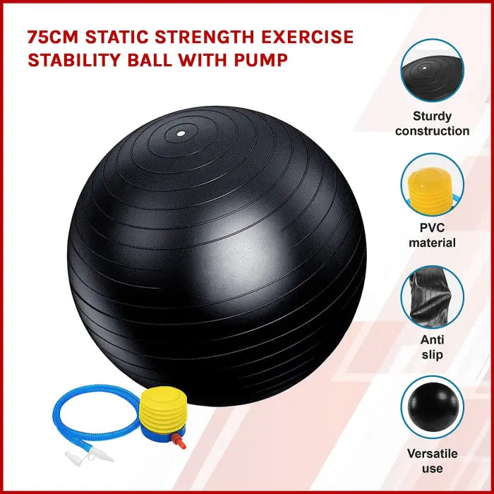 Randy & Travis Machinery 75cm Exercise Balance Ball with Pump