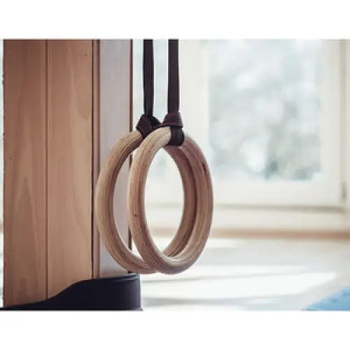 Fitness Gymnastic Rings