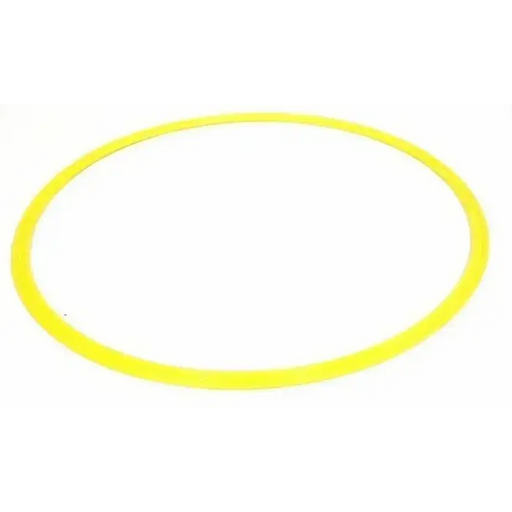 Morgan Agility Step Hoop