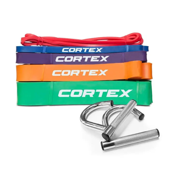 Lifespan Fitness Resistance Bands Set With Steel Handles