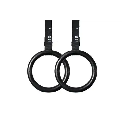 Morgan Sports Fitness Abs Plastic Gymnastic/Gym Rings (Pair)