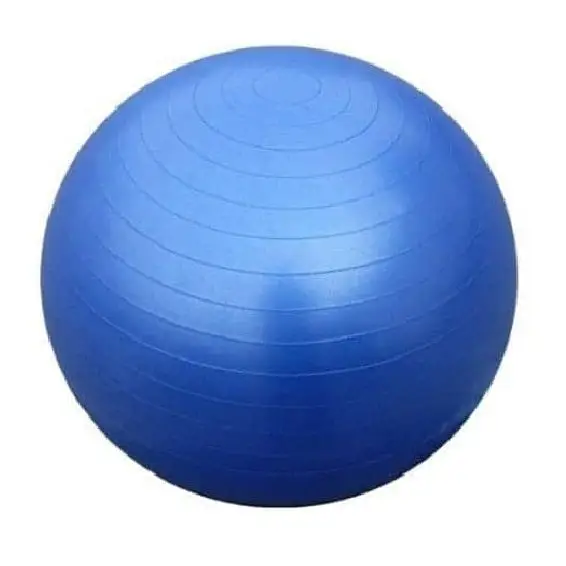 Morgan Gym Ball (65cm)