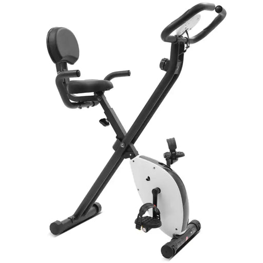 Lifespan Fitness EXER-11 Folding Exercise Bike