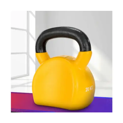 Everfit 20kg Cast Iron Kettlebell