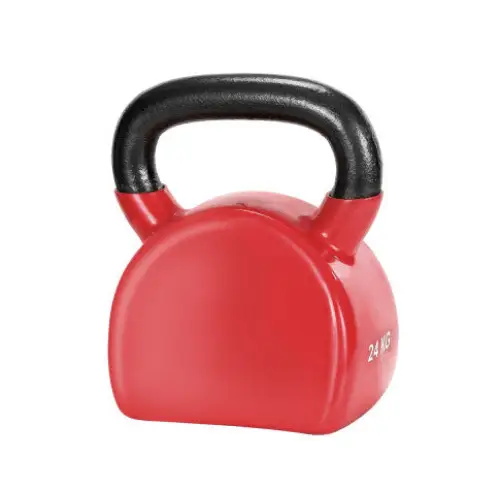 Everfit 24kg Cast Iron Kettlebell