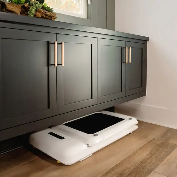 WalkingPad C2 Compact Folding Treadmill