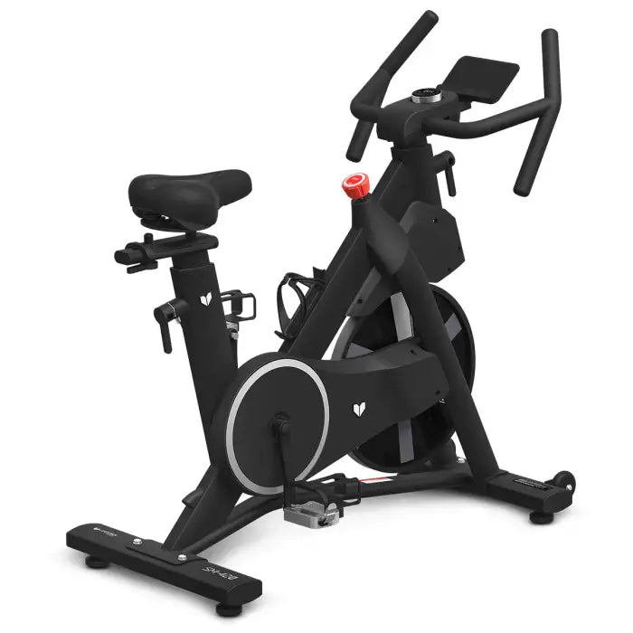 Lifespan Fitness SM-420 Magnetic Spin Exercise Bike