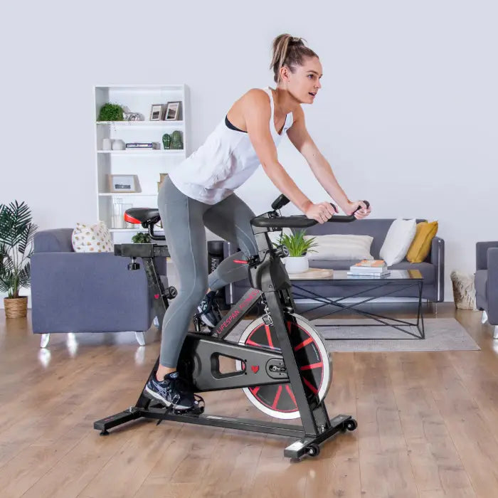 Lifespan commercial spin bike sale