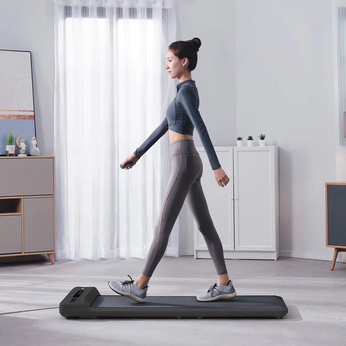 Lifespan Fitness WalkingPad™ M2 Compact Treadmill