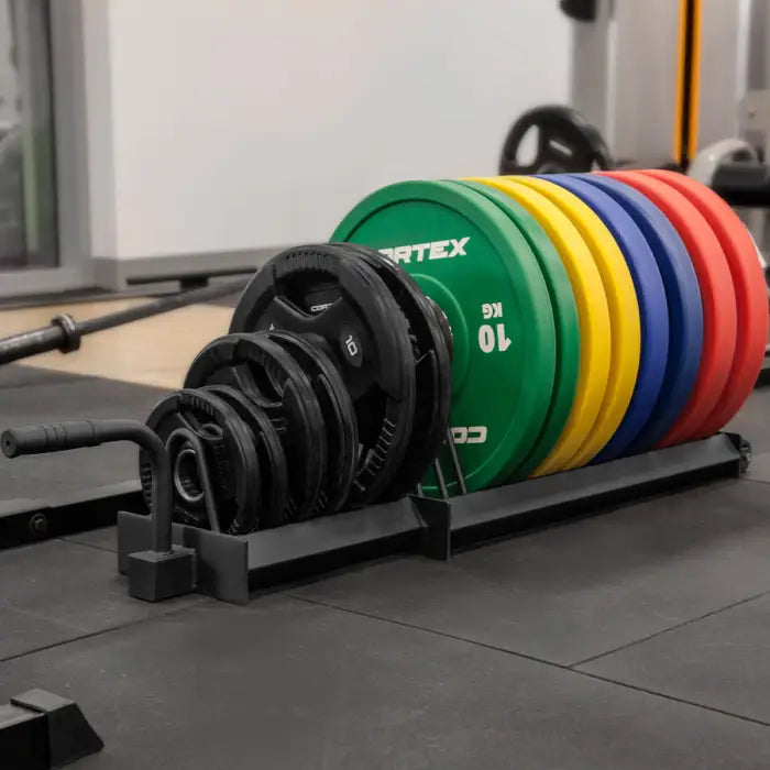 Lifespan Fitness Toaster Rack Weight Plate Holder — Fitness At Home