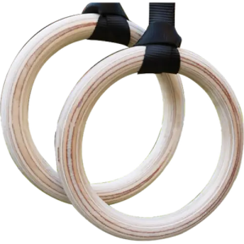 Fitness Gymnastic Rings